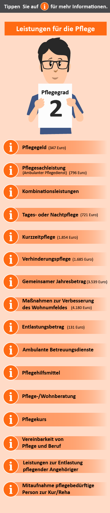 Übersicht der Leistungen für Pflegegrad 2. Dargestellt sind verschiedene Unterstützungsangebote wie Pflegeberatung, finanzielle Zuschüsse und Maßnahmen zur Wohnumfeldverbesserung.