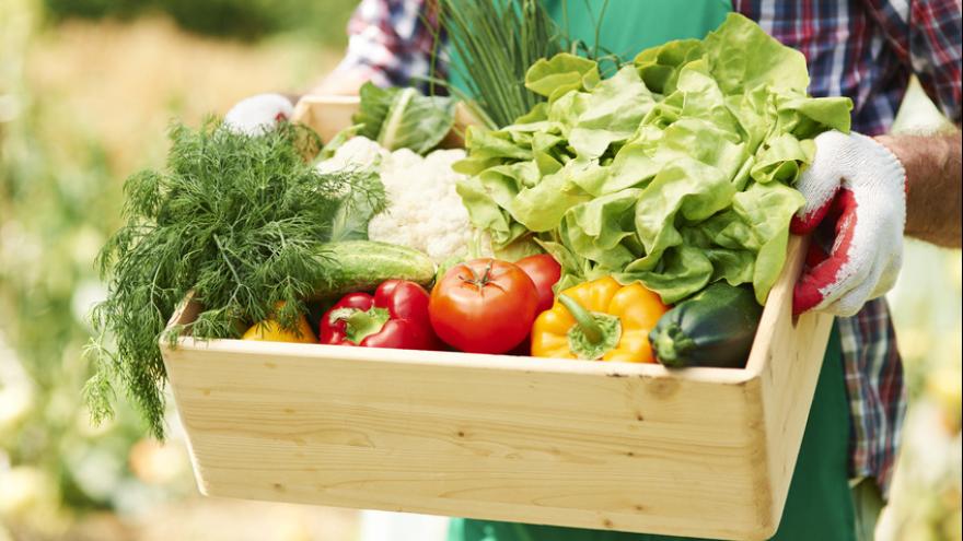 Saisonkalender: Obst Und Gemüse Frisch Und Saisonal Einkaufen ...